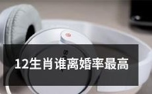 哪些生肖人群的离婚率最高?一探究竟!