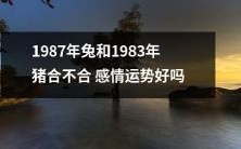 1987年出生的兔和1983年出生的猪,情感运势是否良好?