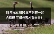 龙女与属羊男的配对:透过包容相互迎合,共筑美好未来!