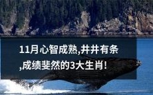 三大心智成熟、井井有条、成绩斐然的生肖在11月份得到了充分体现!