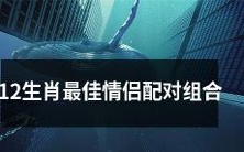探讨12生肖中最合适的情侣搭配,寻找最佳情侣配对组合