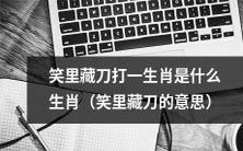 什么生肖可以用“笑里藏刀”来形容其特质和个性?