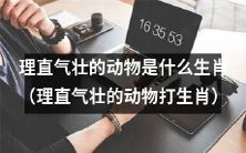 哪个动物的生肖象征着理直气壮和自信不凡的特质呢?