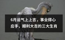 六月好运接二连三!事业顺心如意,一切顺利大吉大利,狮子、天秤、双鱼三大生肖幸运星闪耀!
