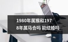 是否可以结婚?1980年的属猴是否与1978年的属马之间存在和谐的星座互配关系?