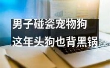 越来越猖獗的现代社会:男子碰瓷宠物狗,惹上大祸,让我们重新思考人与动物的关系及责任意识