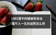 属于1985年所出生、牛座的人的婚姻和命运:探讨牛年人一生的运势如何?