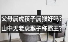 父母是虎座,孩子是猴座,这样的组合是否适宜?猴子在山中无虎的情况下是否真的能成为霸主?