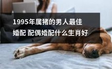 1995年出生的属猪男子,应该选择哪个生肖作为最佳婚配对象?
