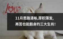 三大生肖:11月头脑清晰、厚积薄发,即便遭遇困境也能轻松翻身!