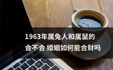 属兔和属鼠的1963年出生的人,如何在婚姻中实现财务合作?