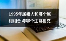 1995年属猪人应与哪个属相匹配,哪个生肖应该避免相克的情况?