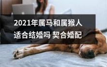 2021年属马和属猴的人是否具备理想的婚姻契合度以便成婚?