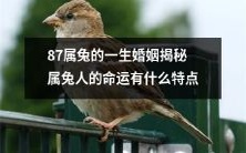 《揭秘87属兔人的一生婚姻命运,探究属兔人的独特特点》