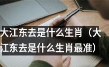 大江东去的生肖查询