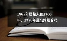 在中国传统婚姻观中,1965年生肖属蛇人与1966年、1978年生肖属马人是否适合结婚?