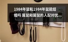 同属鼠的1984年鼠是否适合结婚?优缺点分析