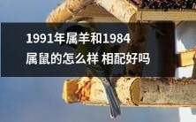 1991年出生的属羊与1984年出生的属鼠的八字相合度如何?适合在感情关系中搭配吗?