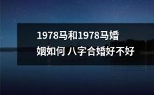 关于1978年出生的马和1978年出生的马是否适合八字合婚以及如何进行合婚的探讨