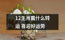 探讨十二生肖在转运方面的吉祥配饰,为喜迎好运势带来更多可能性
