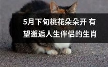 5月下旬:桃花朵朵开,可能邂逅人生伴侣的幸运生肖