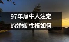 如何根据属牛的出生年份推断其婚姻性格:探究97年属牛人的姻缘特征