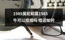 1989年出生的蛇和1985年出生的牛是否具备婚姻资格?如果他们结婚的话,双方的婚姻运势会是怎样的呢?