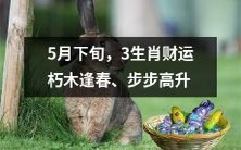 在5月最后一周,三个生肖的财运将苏醒,如朽木逢春,迎来步步攀升之势