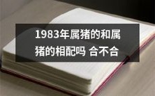 1983年出生的猪年生肖和同属猪年生肖之间是否匹配和谐呢?