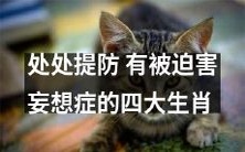 小心防范!警惕被迫害妄想症的四大生肖!