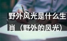 “究竟哪些生肖能够与自然中的野外风光完美融合”——探讨生肖与大自然景观相互之间的奇妙联系