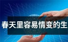 哪些生肖会在春天里容易经历情感波动和改变?