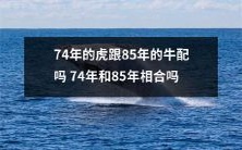 1974年生的人与1985年出生的人是否适配?74年的虎和85年的牛是否匹配?