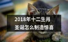 如何为2018年的十二生肖圣诞制造令人惊喜的体验?