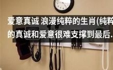 纯真爱意的生肖:坚持到最后的真诚与浪漫