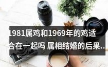 1981属鸡女生与1969年的鸡男结婚是否合适?属相匹配是否影响婚姻结果?探究1981属鸡女和哪种属相最适合,解析属相结婚的影响