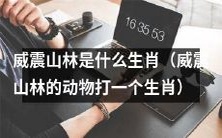 威震山林的动物是哪一种生肖?