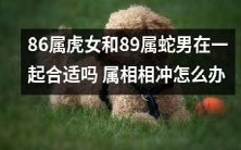 如何处理属相相冲的情况:86属虎女和89属蛇男在一起是否合适?