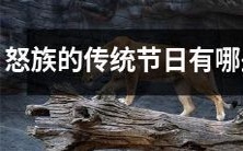 探究怒族传统文化:揭秘怒族传统节日习俗及庆祝方式