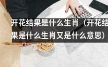 开花结果是什么生肖,它所代表的涵义又是什么?