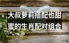 经典示范:无关年龄,大叔与萝莉的生肖配对组合同样浪漫甜蜜