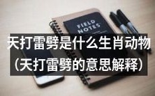 什么生肖动物被称为“天打雷劈”,而这一称谓代表着什么意义?