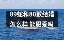 89头蛇和80只猴能否洒脱地走进婚姻殿堂的故事:他们的婚姻是否会像鱼和熊掌一样不可兼得?