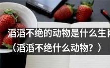 哪些生肖的动物喜欢滔滔不绝地说话呢?