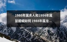 属虎人与属鼠婚姻在1986年的趋势如何,以及属龙女在1988年婚姻中的长久性评估?