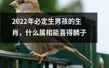 未来到来!2022年准生男生肖大揭秘,哪个属相将迎来隆重的喜事?