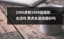 婚姻问题探讨:男虎女鼠结婚是否合适?以1986年的虎和1984年的鼠作为案例进行分析