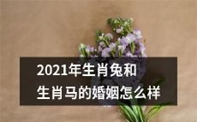 2021年生肖兔与生肖马的结合:探究恋爱、婚姻、合适性及相互影响等方面的综合分析