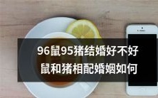 探讨96年出生的鼠和95年出生的猪是否适合步入婚姻殿堂,考察鼠和猪之间的相互匹配度以及可能面临的婚姻挑战