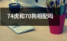 74只老虎和70只小狗适合搭配吗?